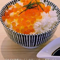画像1177