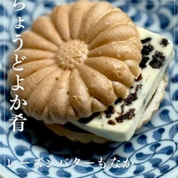 画像1476