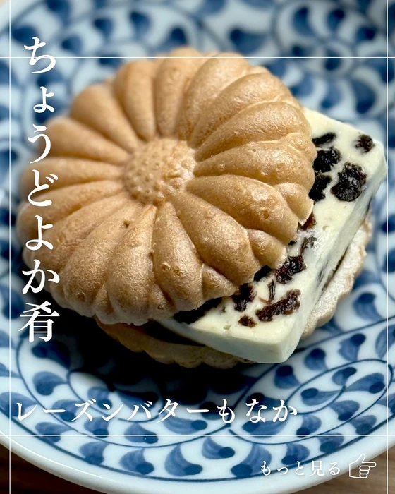 画像1476