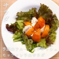画像1482