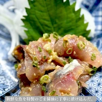 画像1504