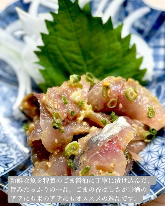 画像1504