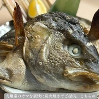 画像1515