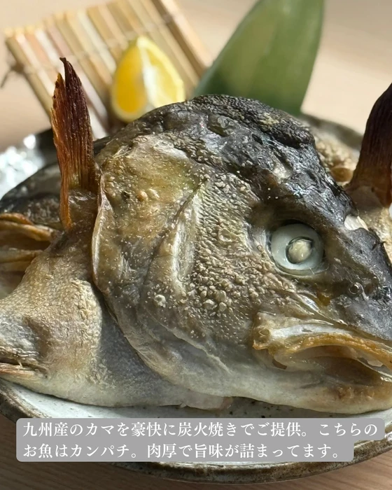 画像1515