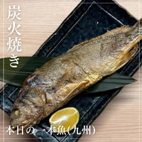 画像1517