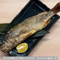 画像1518