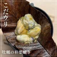 画像1539