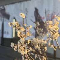 画像1794