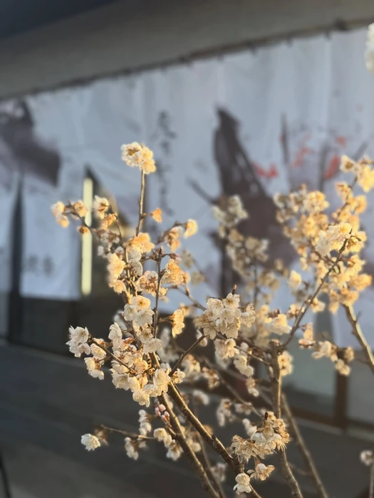 画像1794
