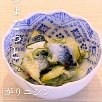 画像947